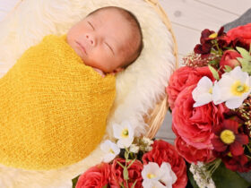 フォト・エトワールのホームページを公開いたしました。